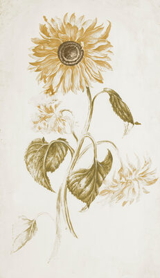Image Not Available